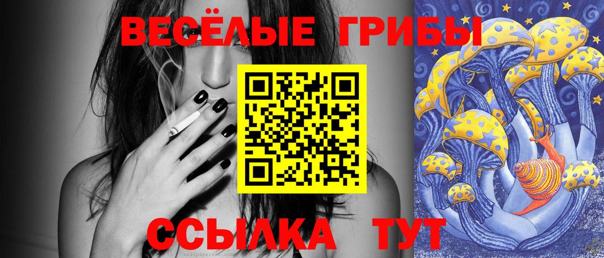 где найти наркотики  Вход с VPN  Ивантеевка  Псилоцибиновые грибы Psilocybine cubensis 